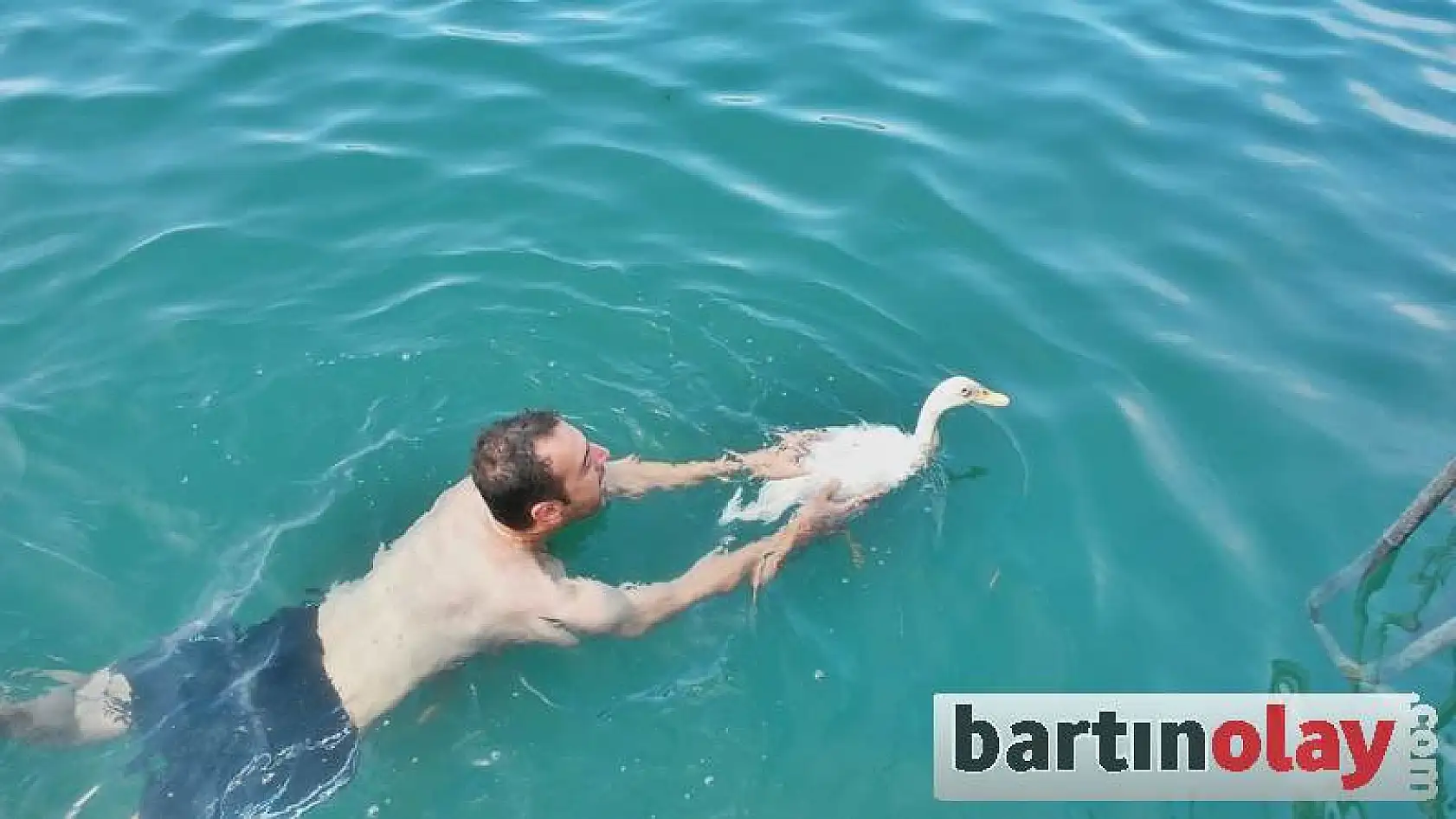 Ördek İle Dostluğu Görenleri Şaşırtıyor