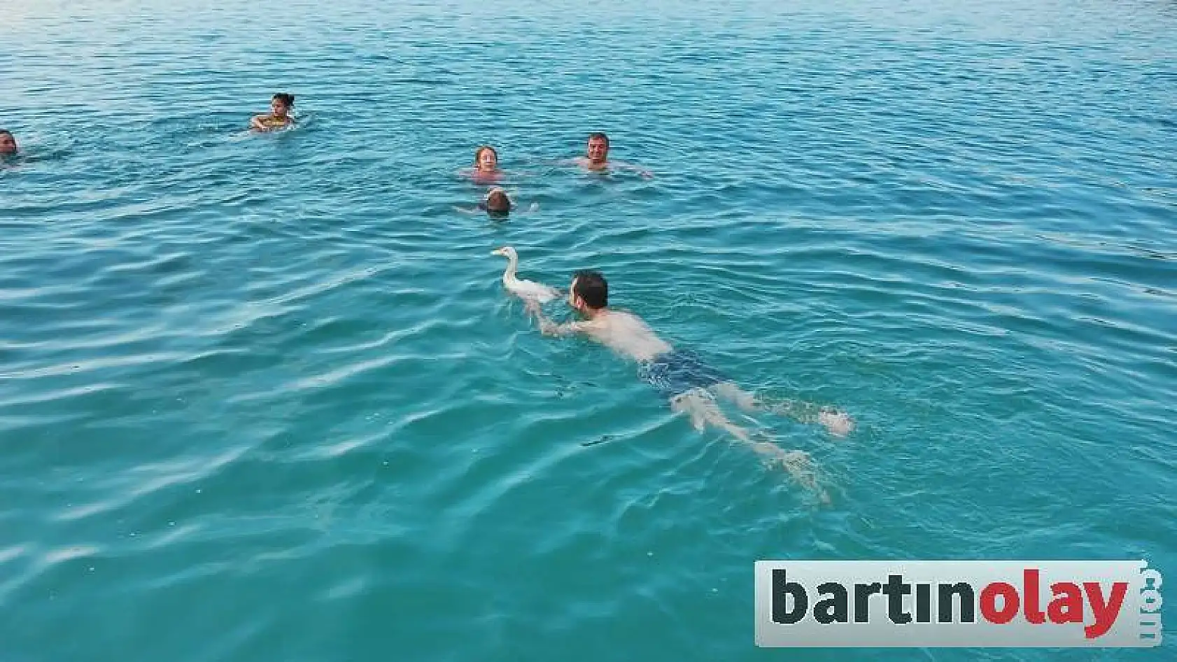 Ördek İle Dostluğu Görenleri Şaşırtıyor