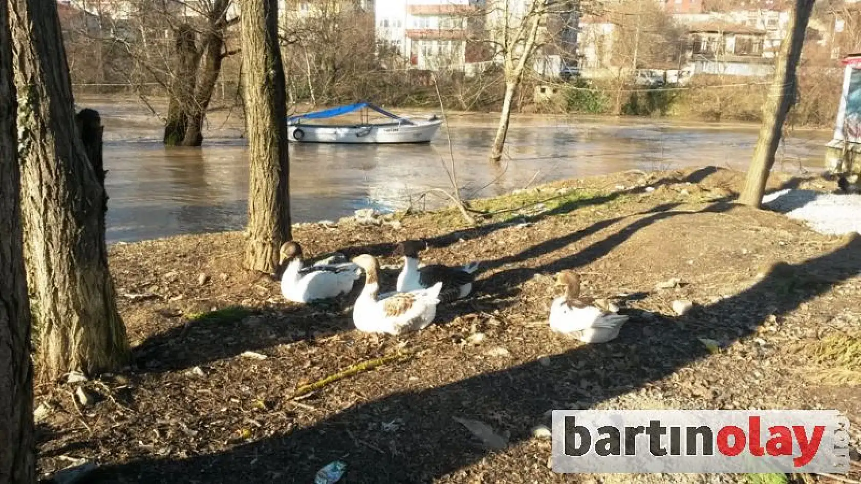 Bartın Irmağında taşkın görüntüleri 