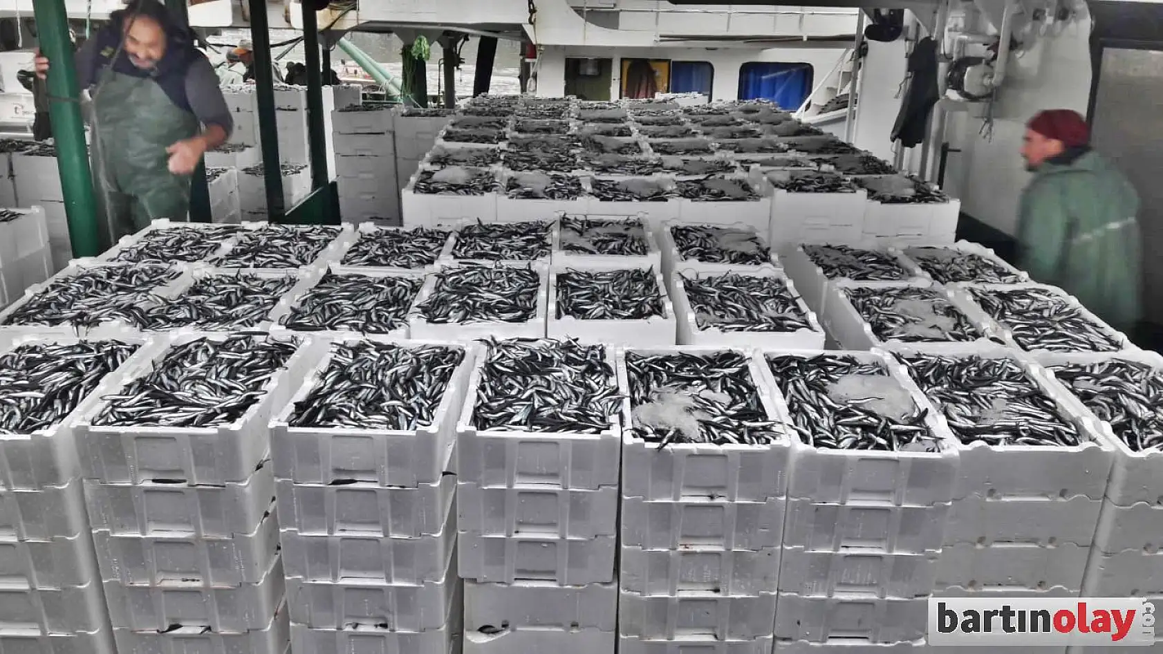 Fırtınanın ardından hamsi bereketi