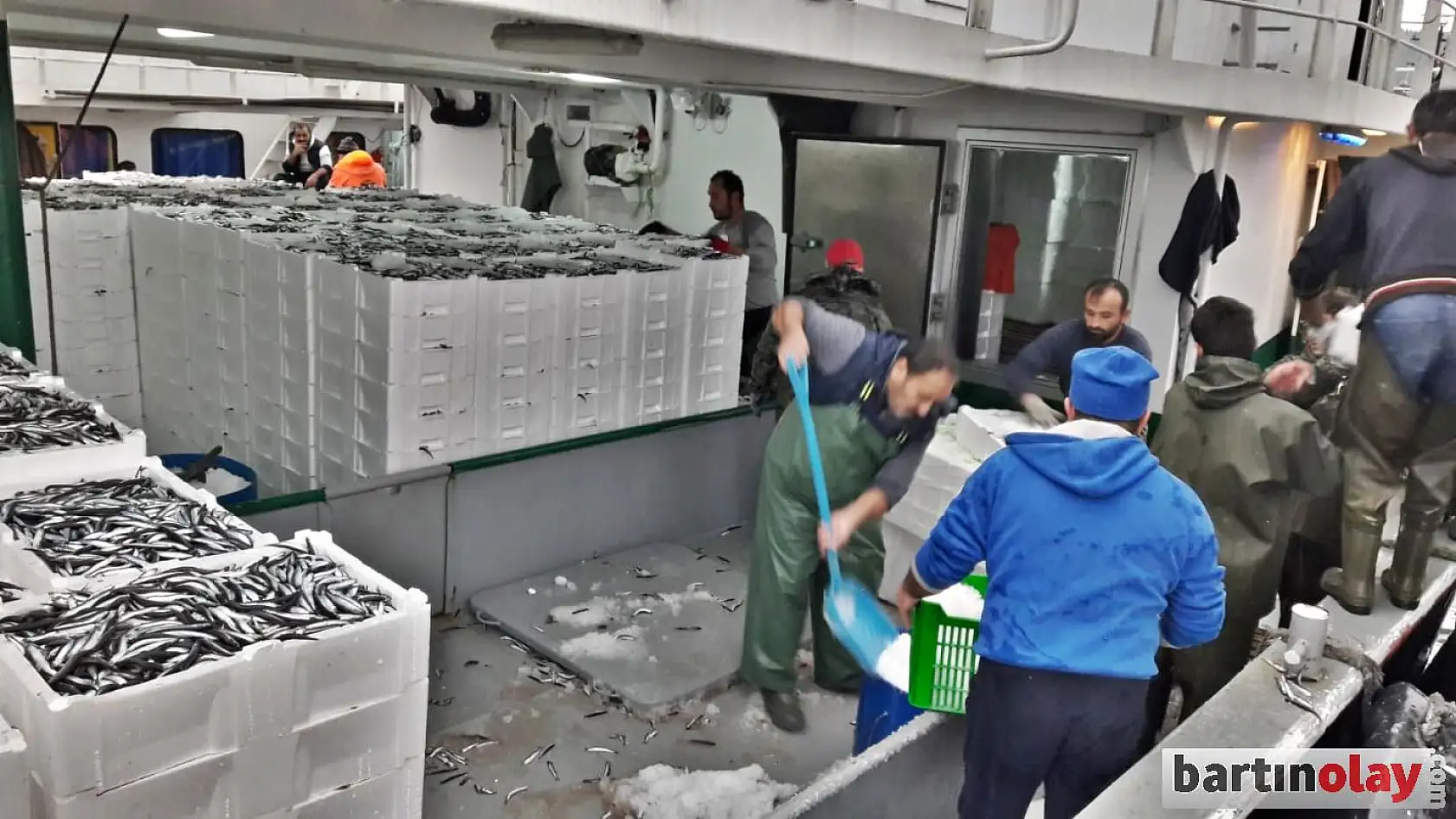 Fırtınanın ardından hamsi bereketi