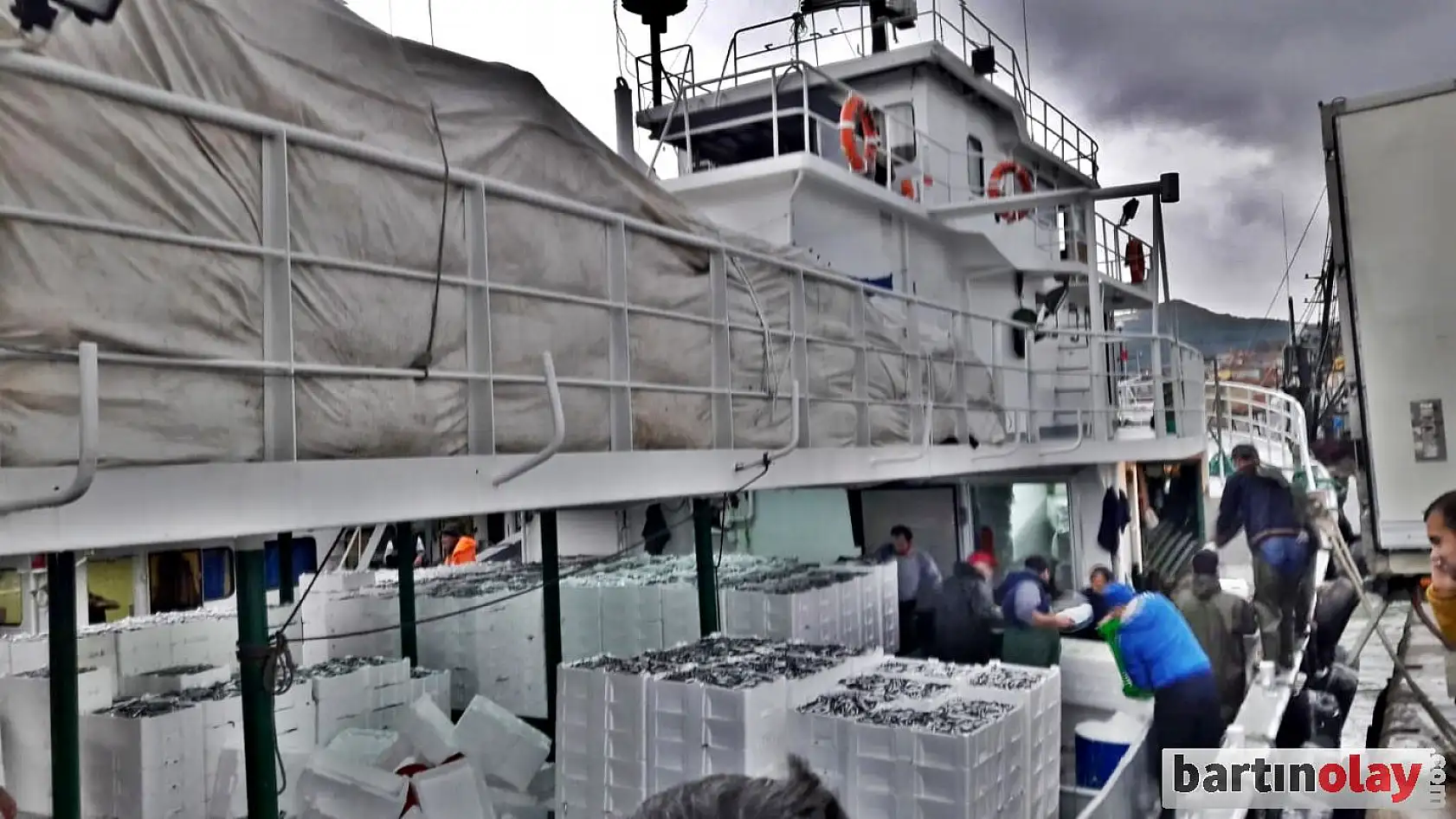 Fırtınanın ardından hamsi bereketi