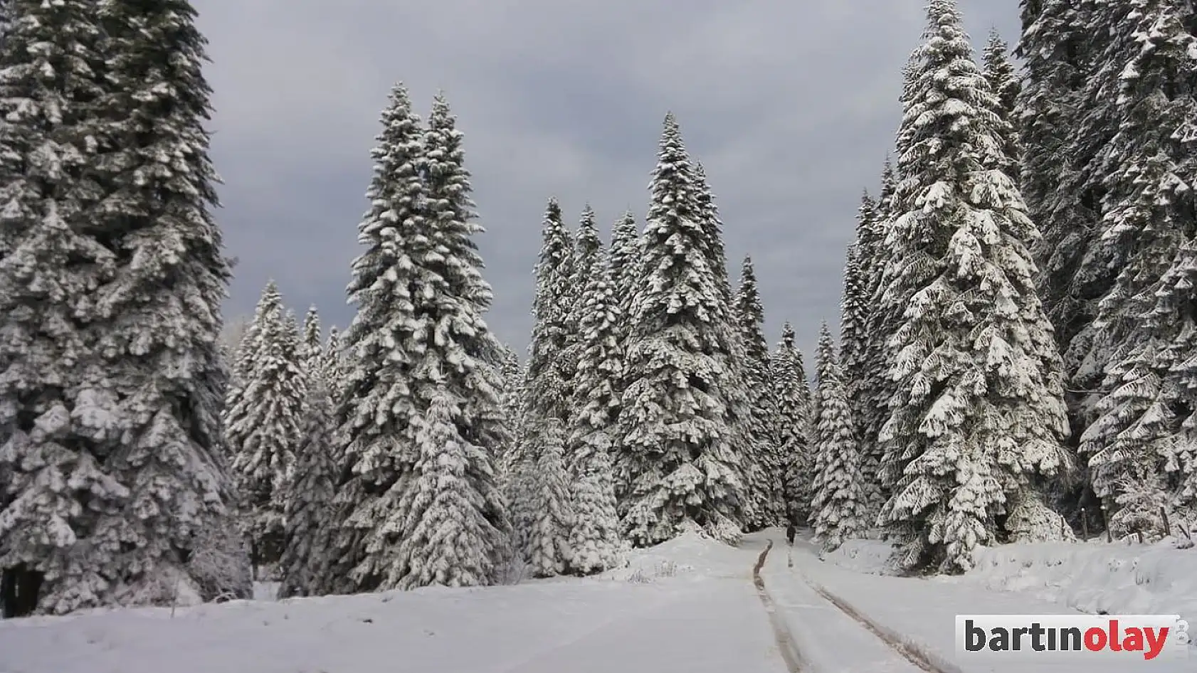 Gezen yaylasından büyüleyen kar manzaraları