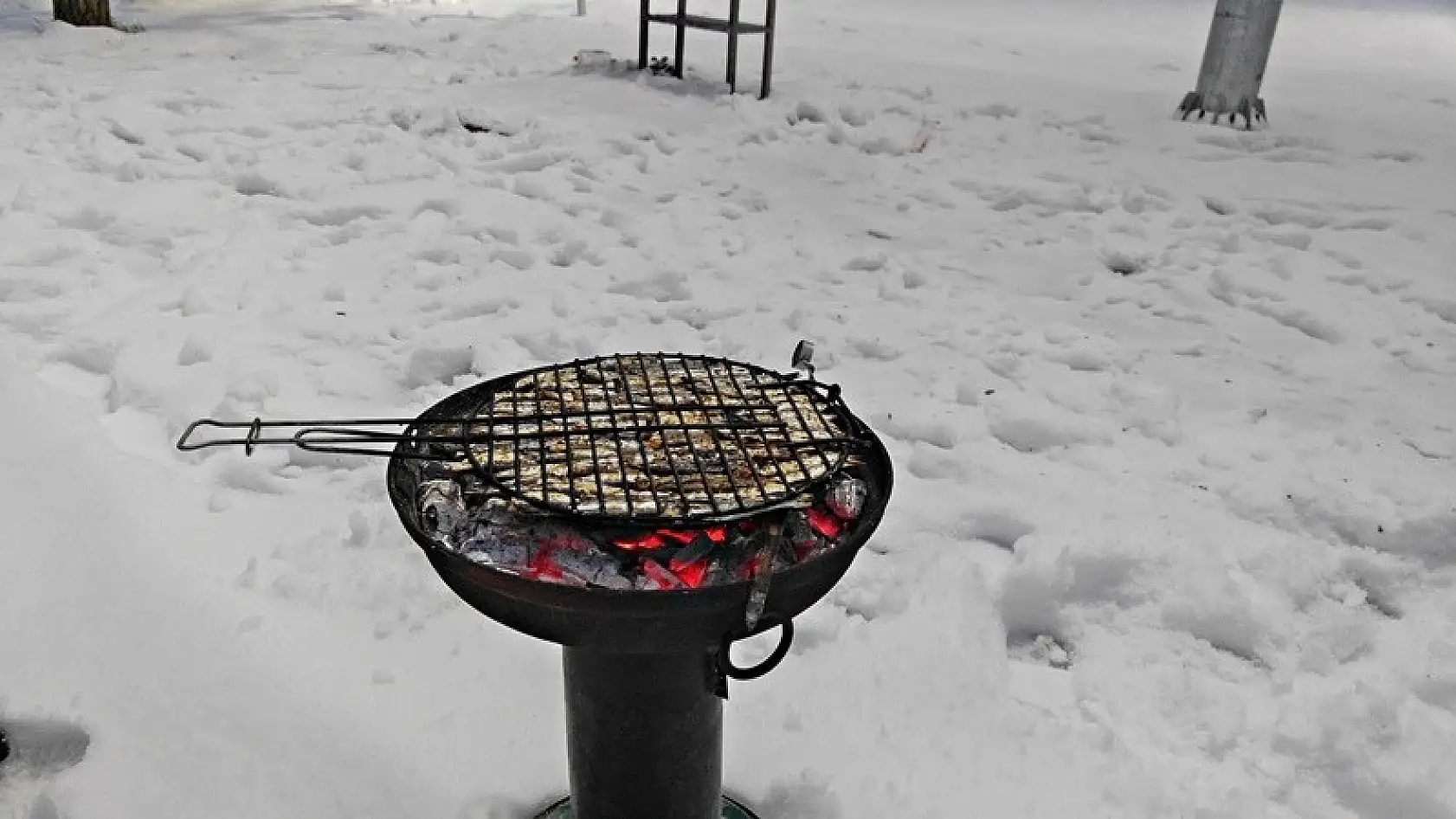 Karda hamsi mangal keyfi