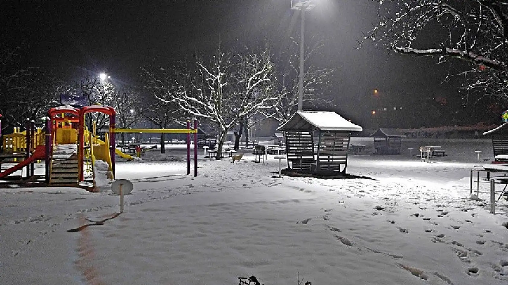 Karda hamsi mangal keyfi