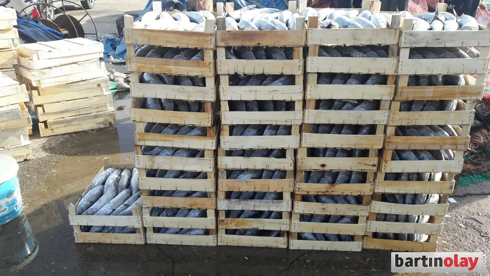 Kasalar palamut ile doldu