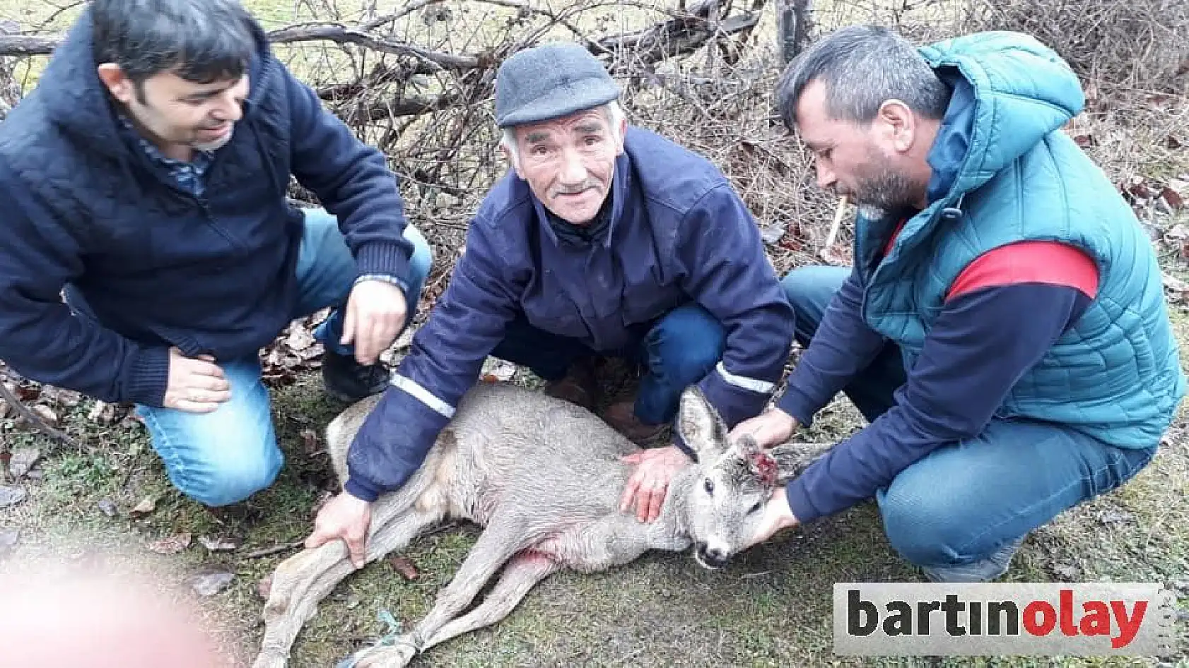 Köpeklerin saldırısına uğradı