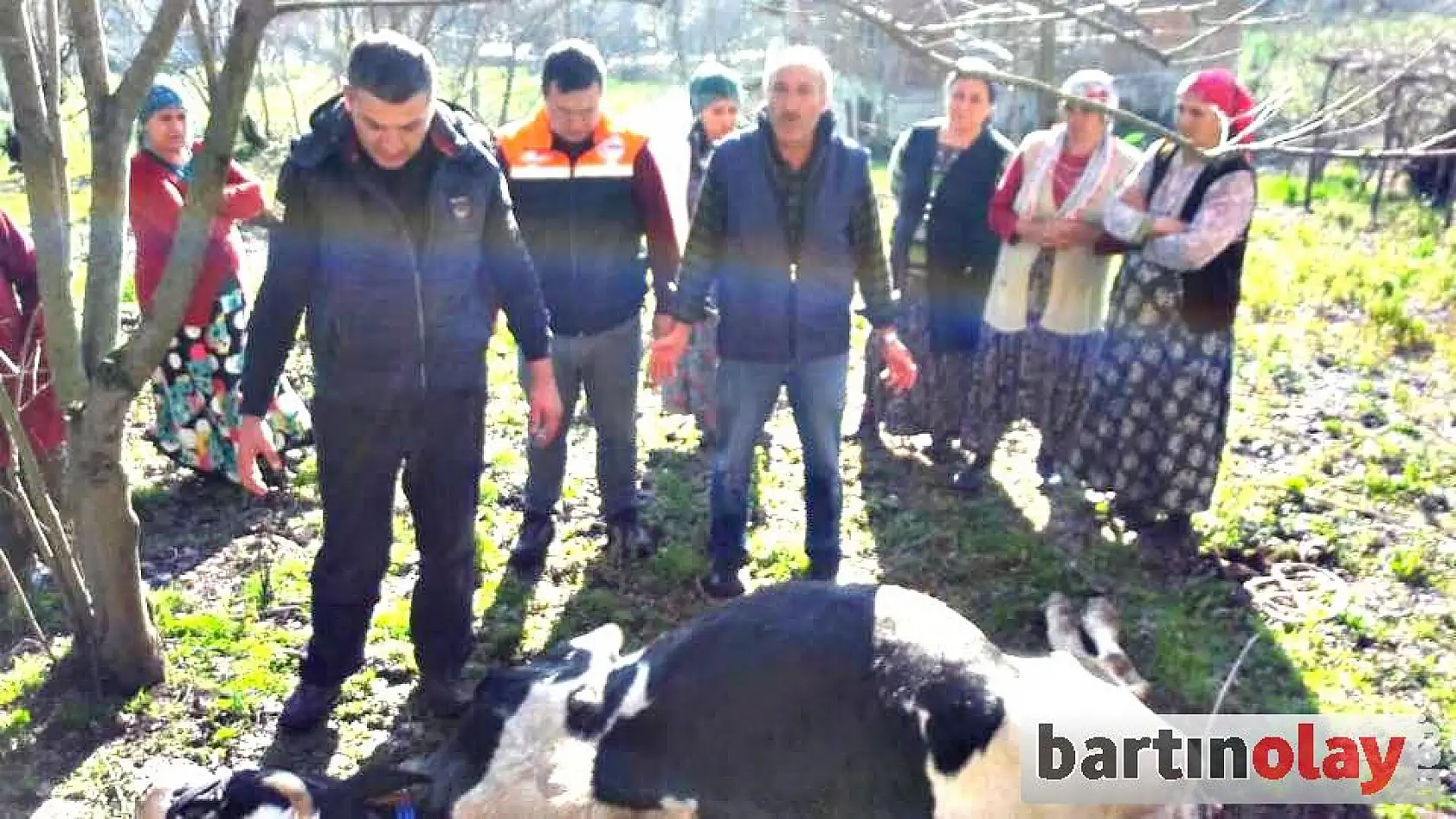 Kuyuya düşen inek telef oldu