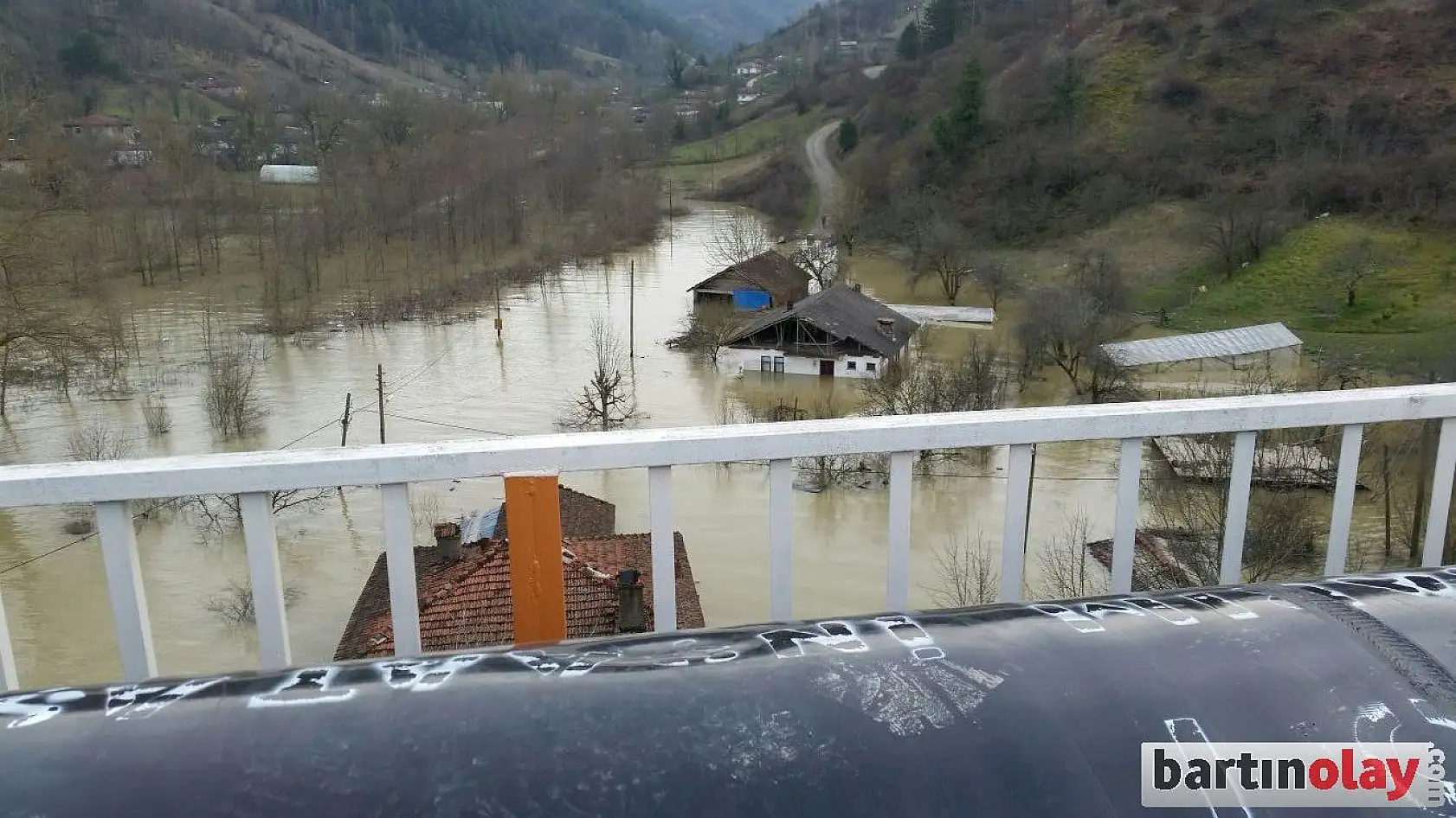 Mahsur kalan köpekler kurtarıldı