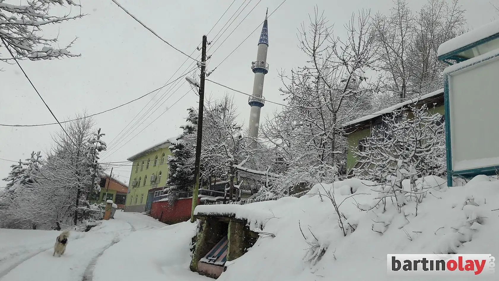 Mart Karı Bartın'ı Beyaza Bürüdü