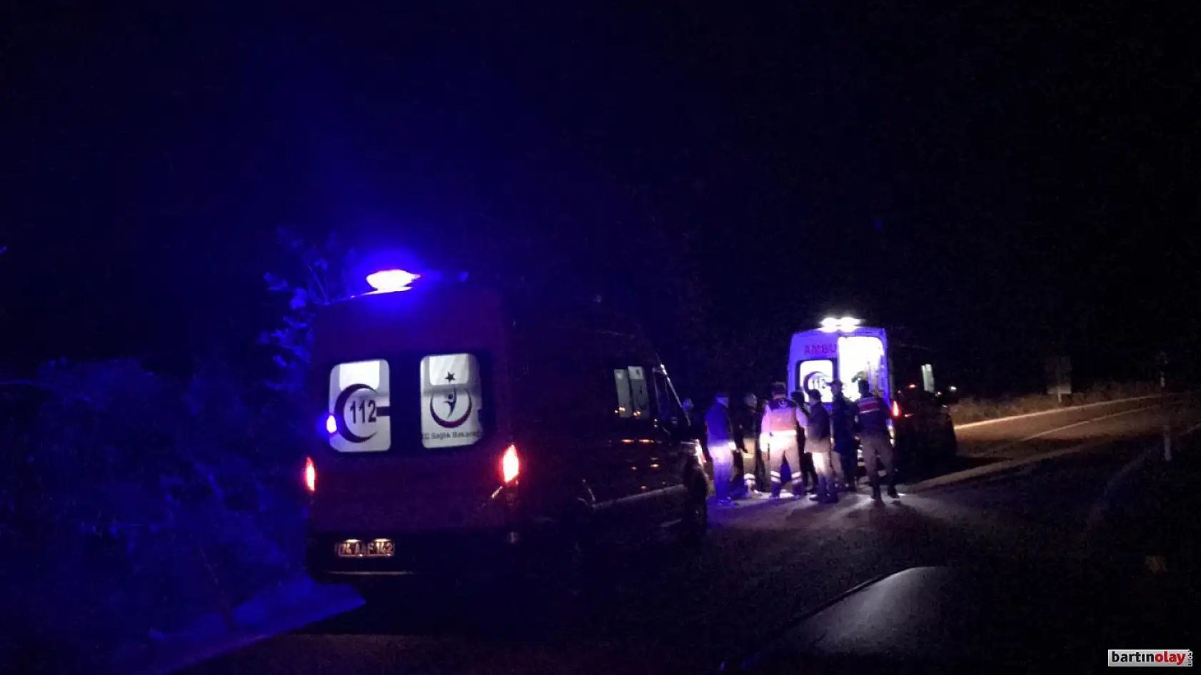 Otomobil ata çarptı, 2 yaralı