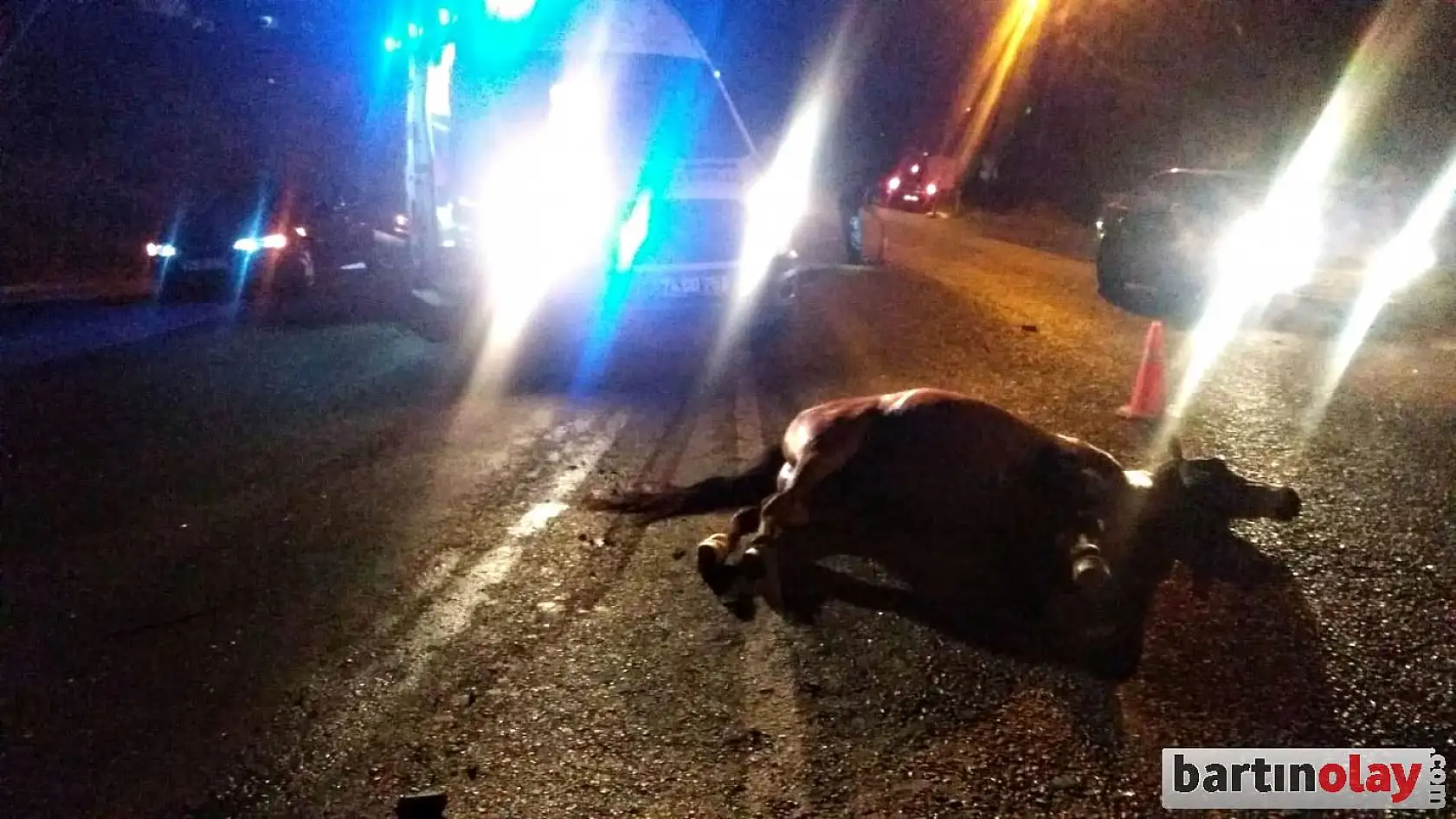 Otomobil önüne çıkan ata çarptı