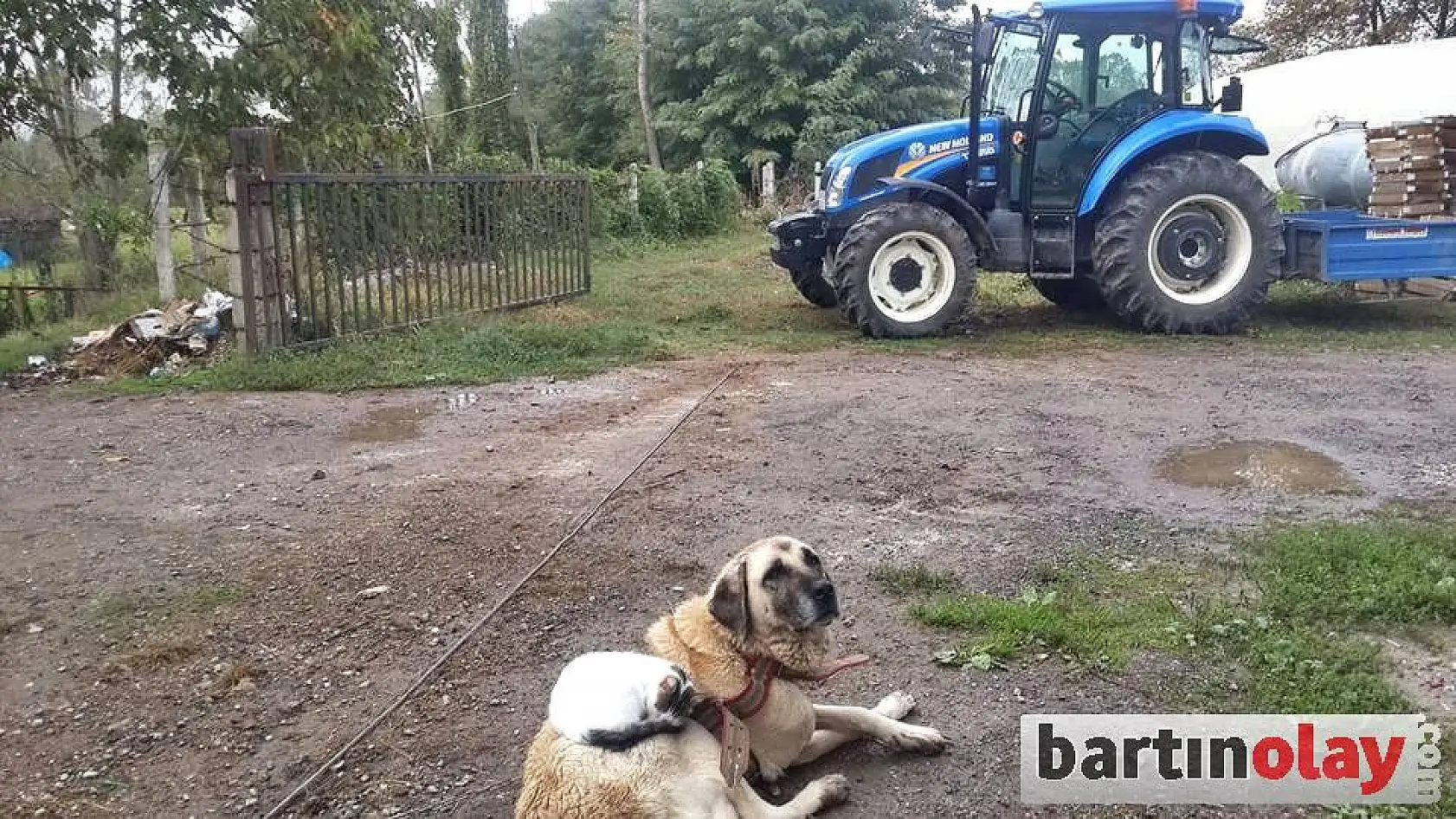 Sırtına yatıp uyuyor