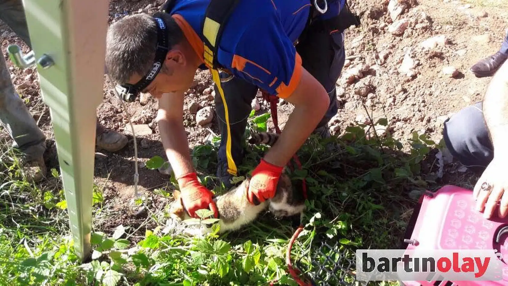 Su kuyusuna düşen kediyi AFAD kurtardı