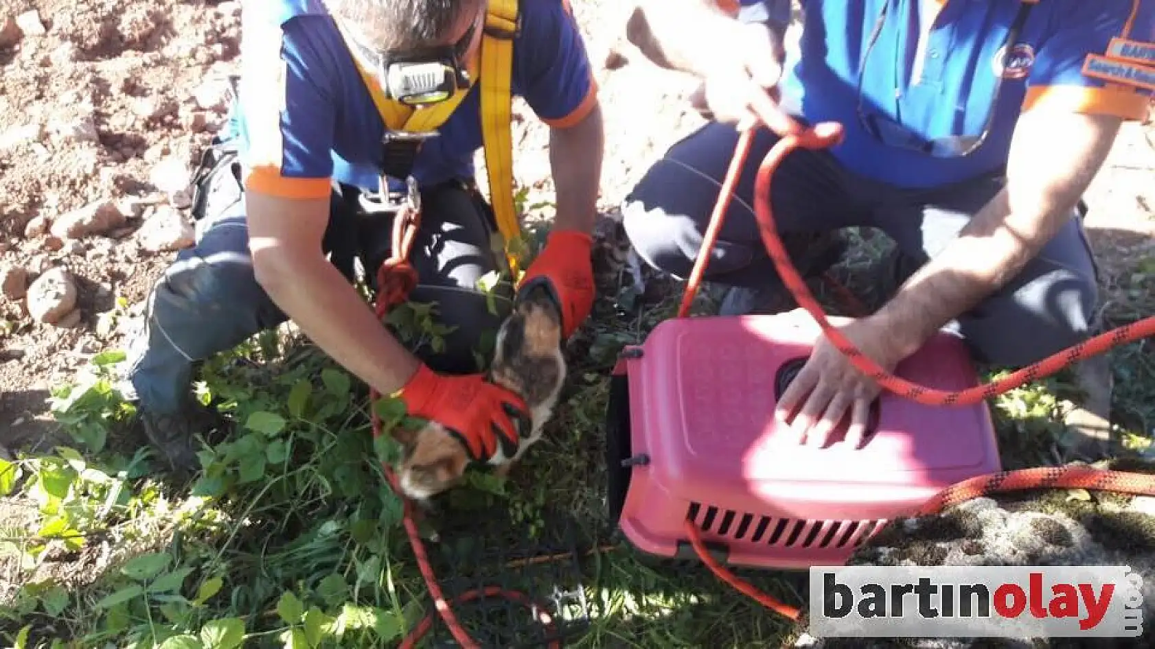 Su kuyusuna düşen kediyi AFAD kurtardı