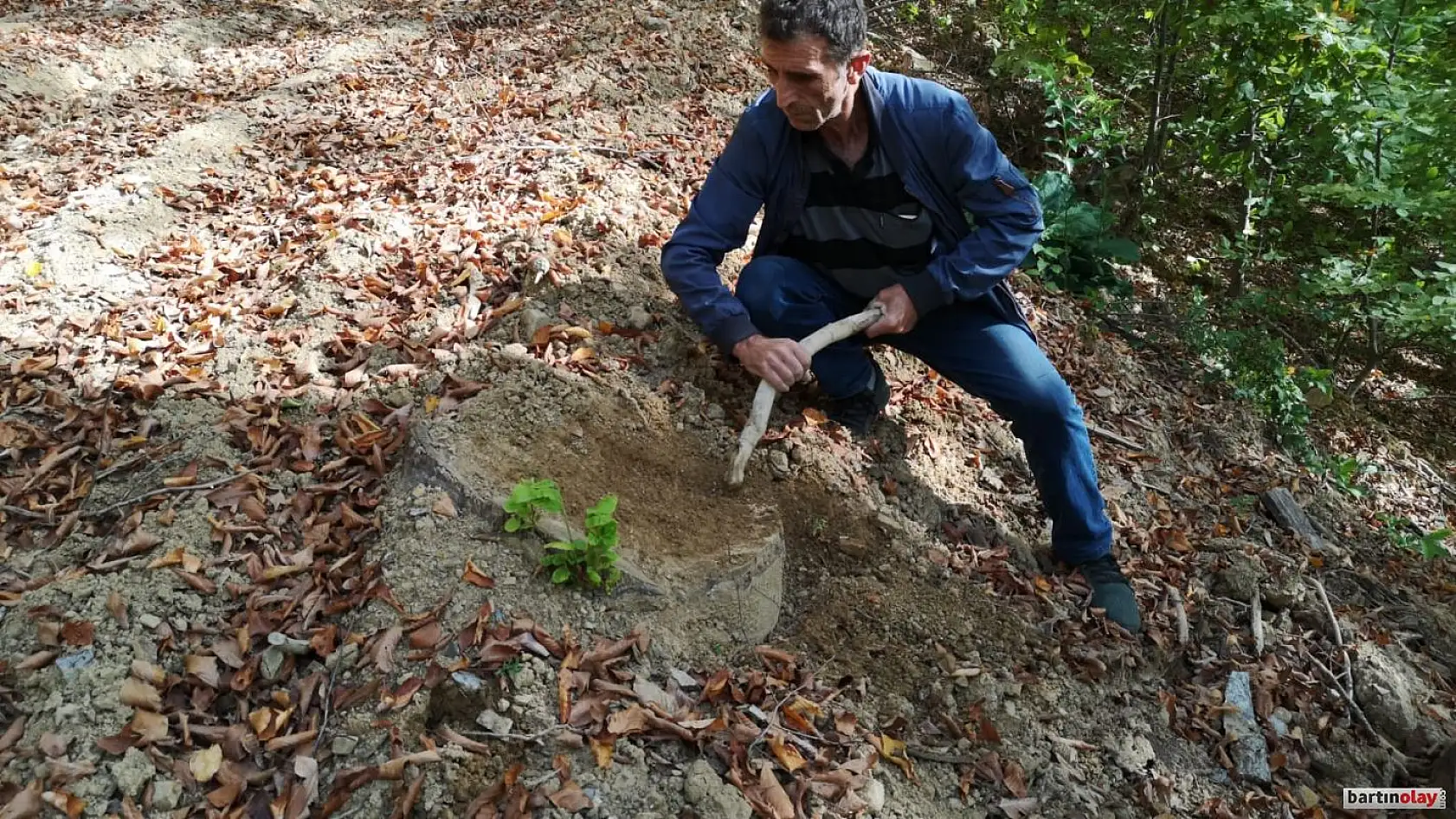 Talan, rüşvet ve yolsuzluk iddiası