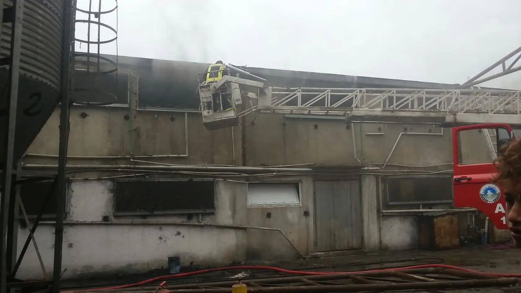 Tavuk çiftliğinde yangın