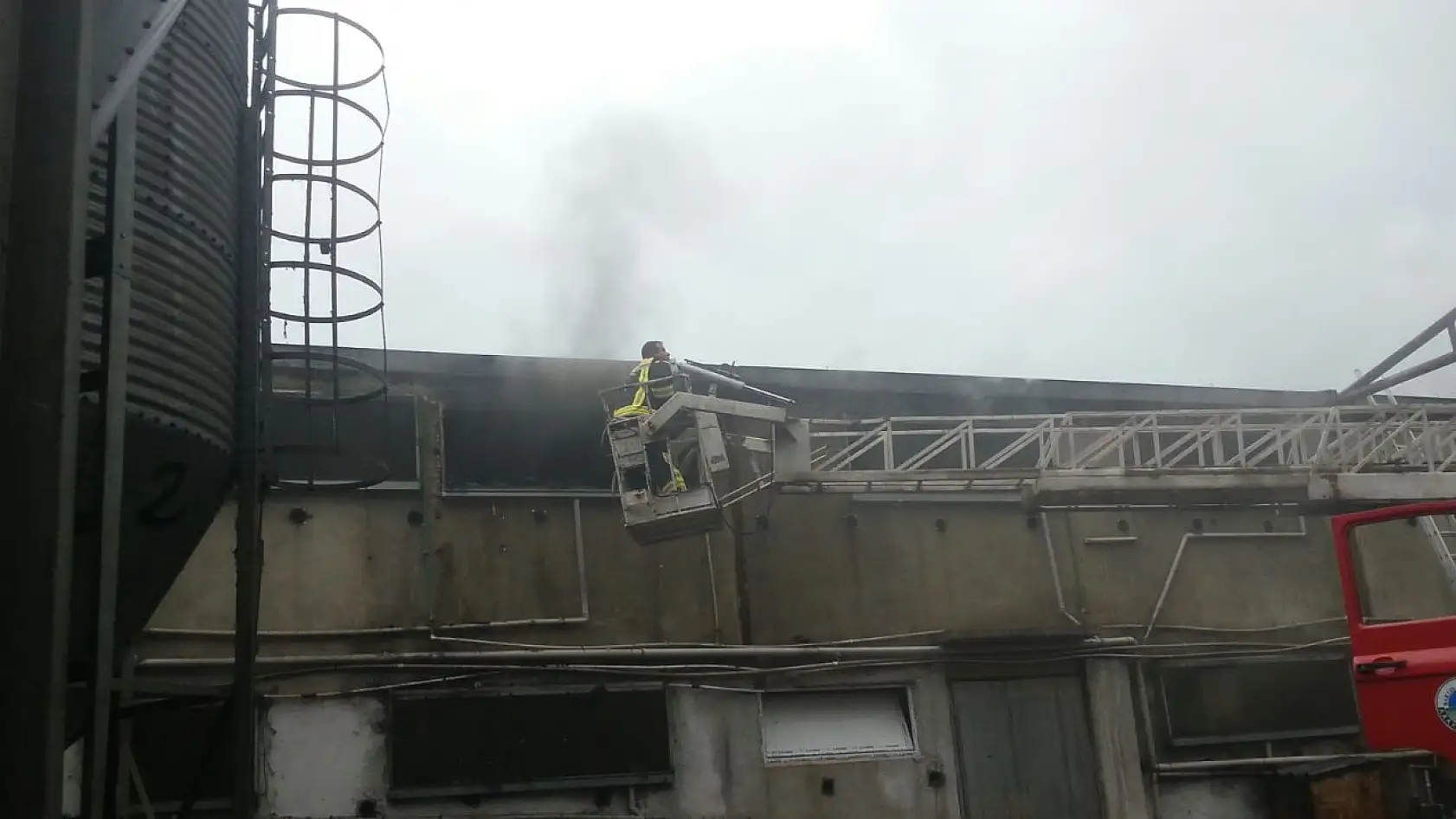 Tavuk çiftliğinde yangın