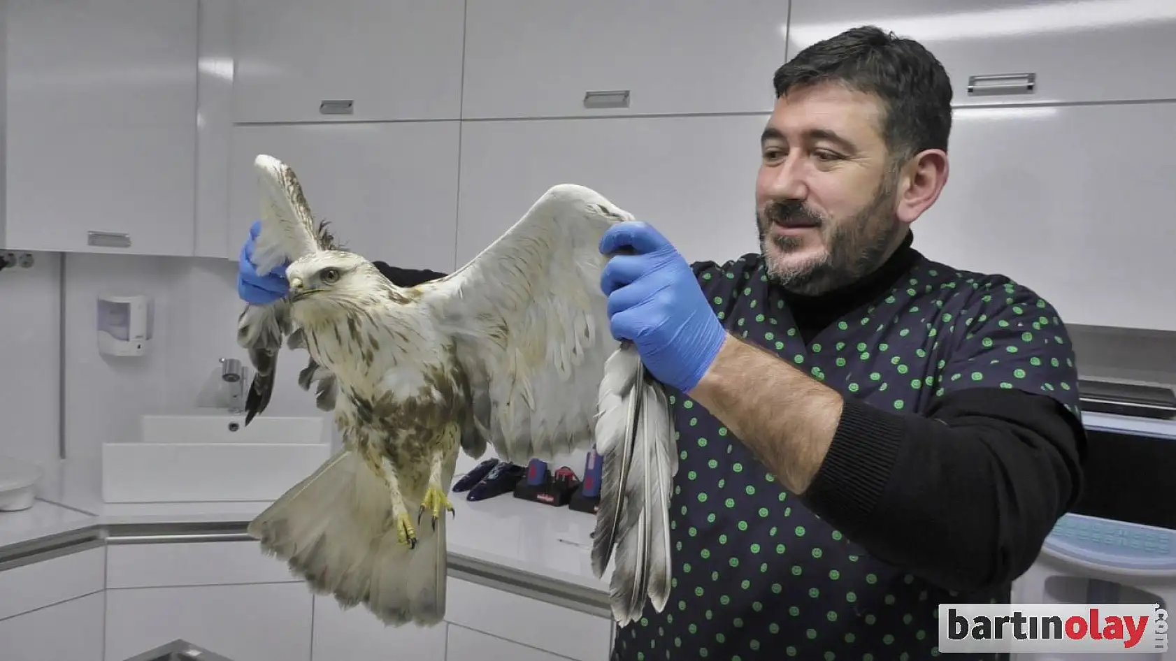 Vurulan yılan kartalı tedavi edildi