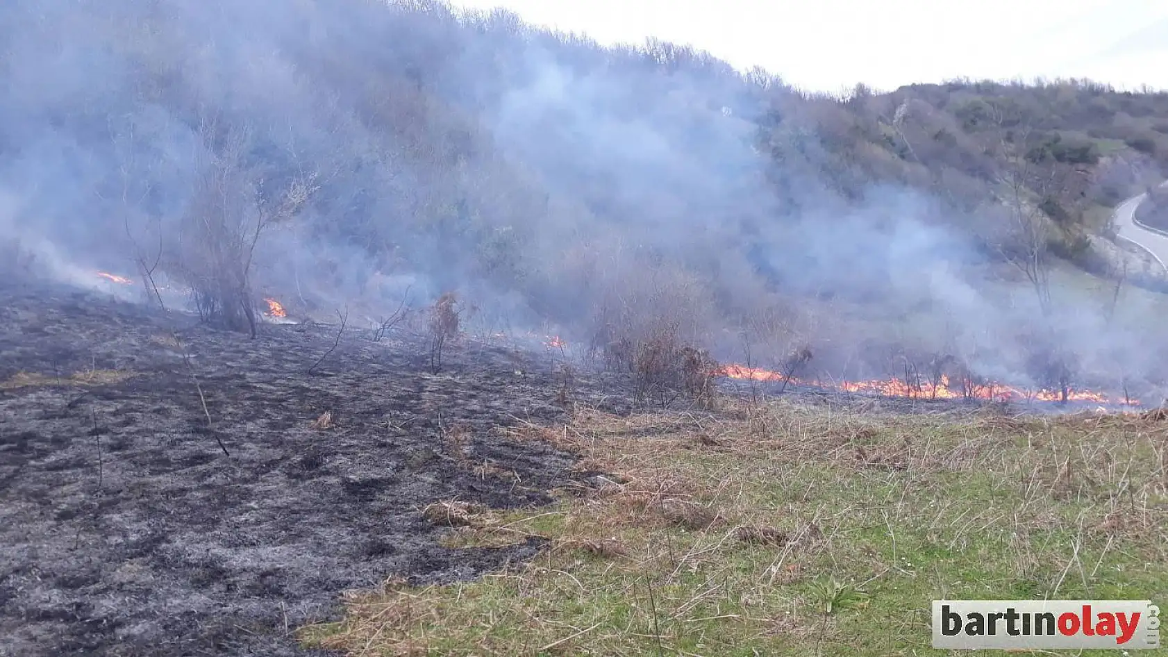 Yakılan Ateş, Ormana Sıçradı