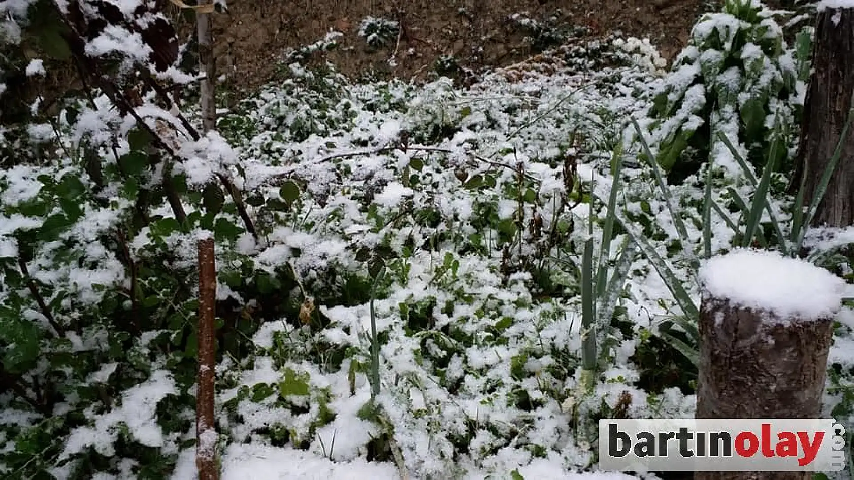 Yüksek kesimlerde kar yağışı
