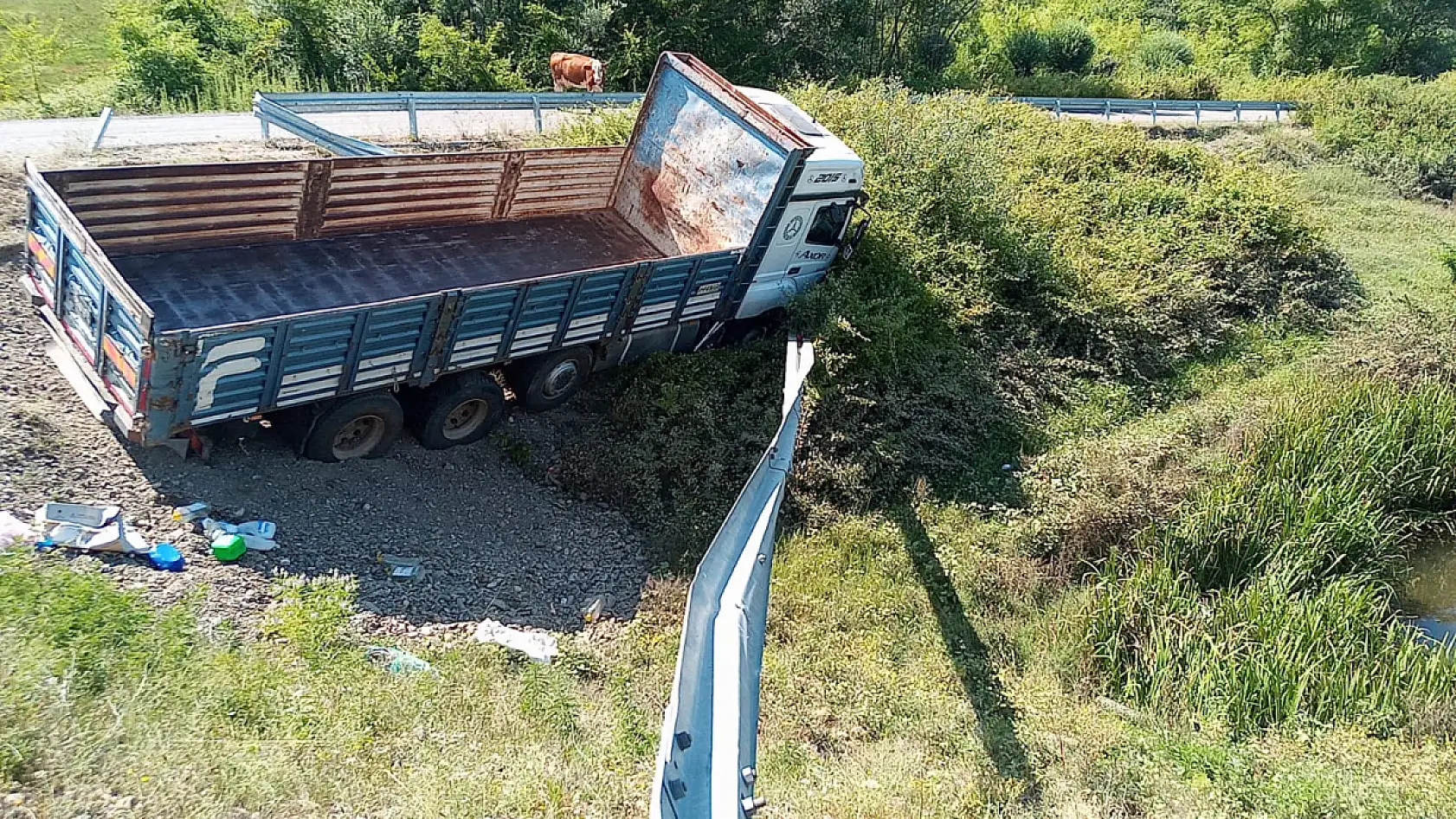 Yoldan Çıktı, şarampole devrildi