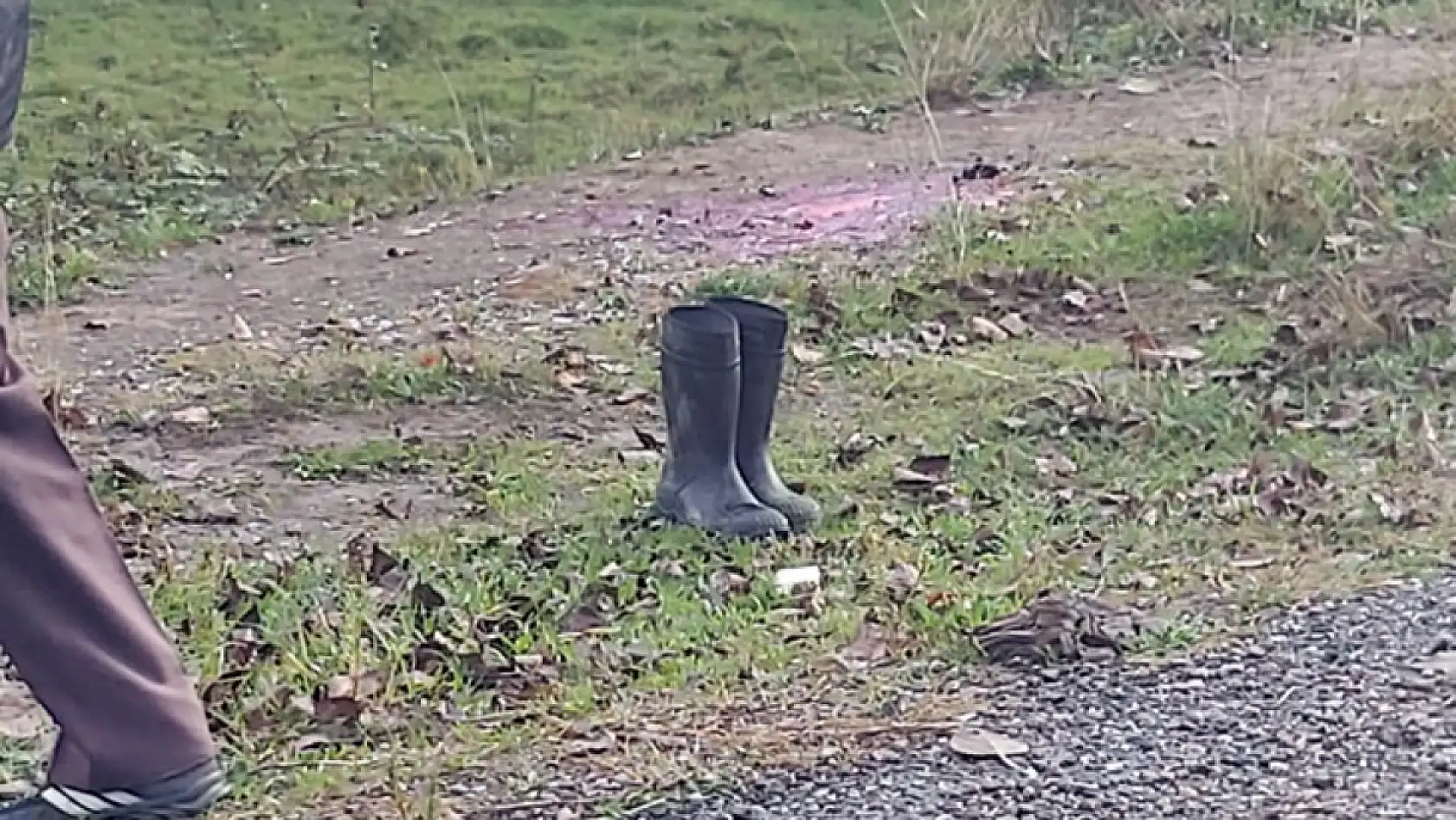 Feci kazada can kaybı