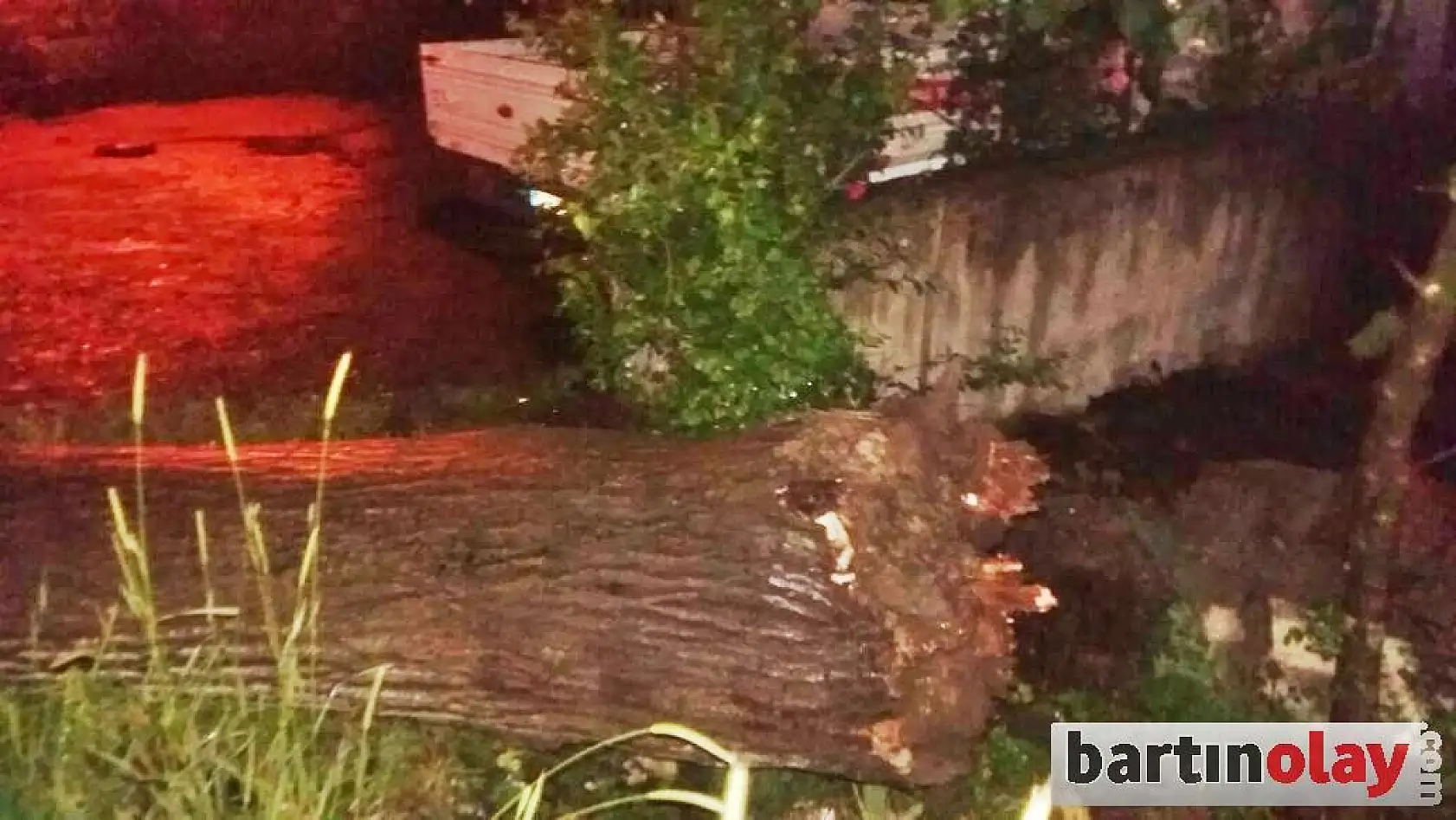 Yola Devrilen Ağaca Çarpan Otomobil ters döndü