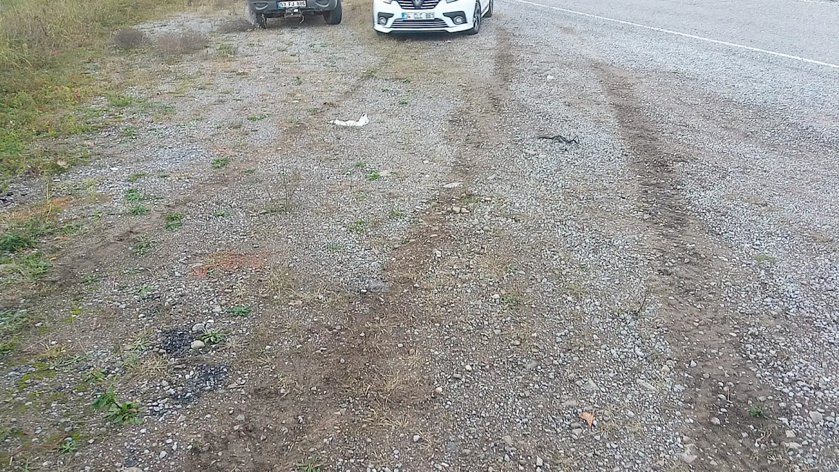 Ticari araç şarampole yuvarlandı