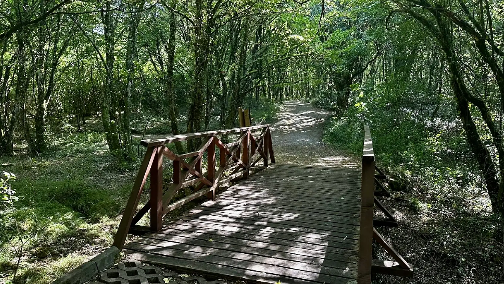 Şehirden uzak, doğaya yakın