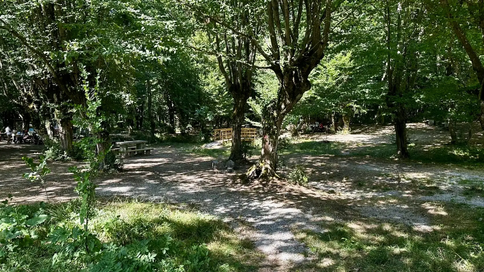 Şehirden uzak, doğaya yakın