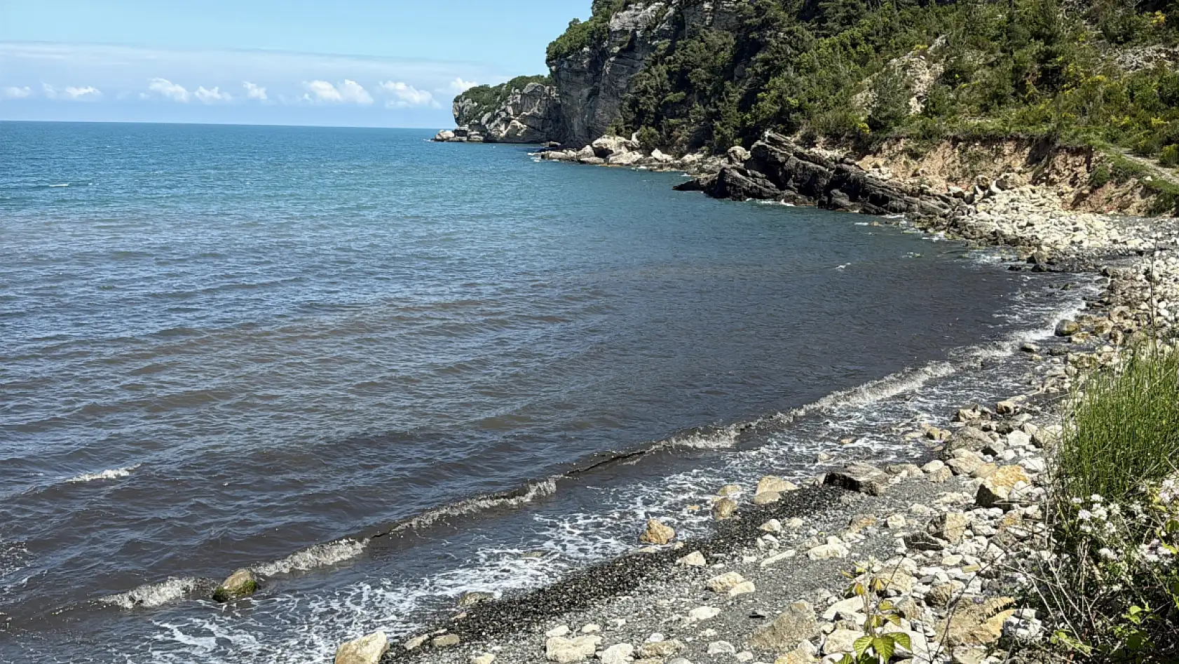 Çevre haftasında Amasra'da çevre felaketi!