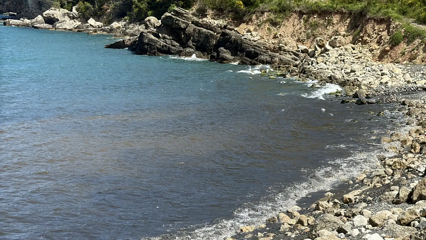 Çevre haftasında Amasra'da çevre felaketi!