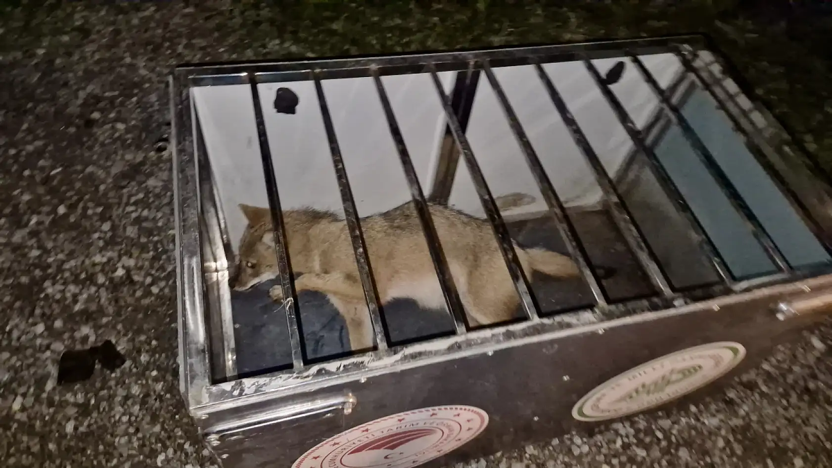 Gençlerden merhamet dersi