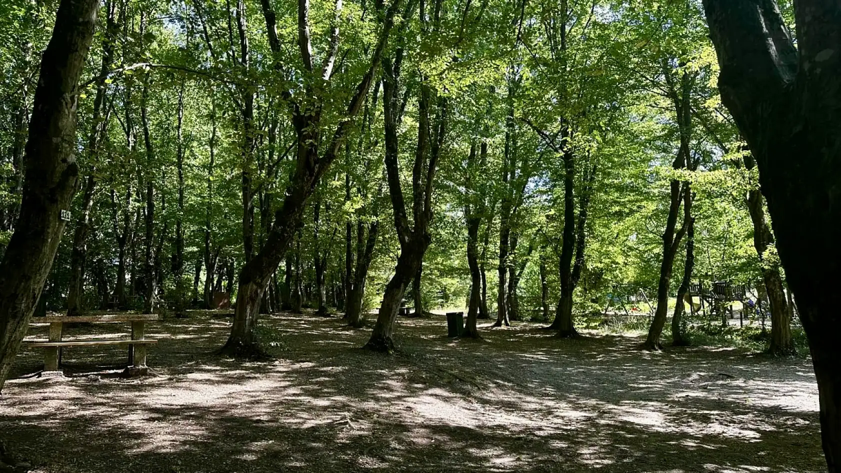 Şehirden uzak, doğaya yakın