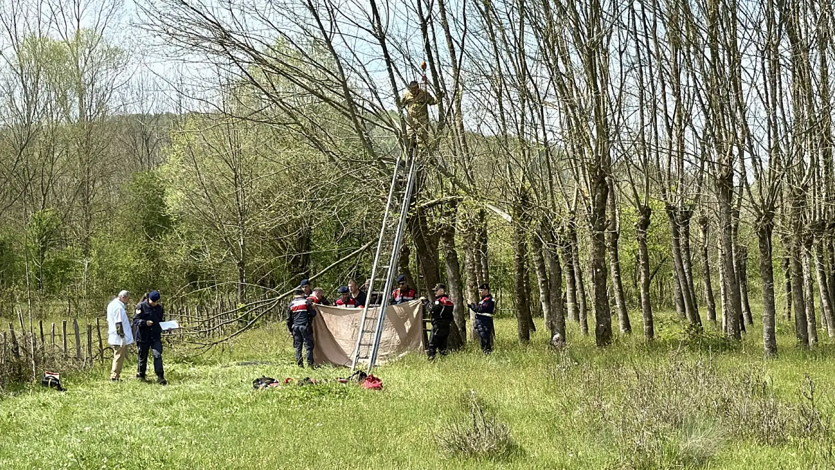 Budadığı ağaçta ölü bulundu
