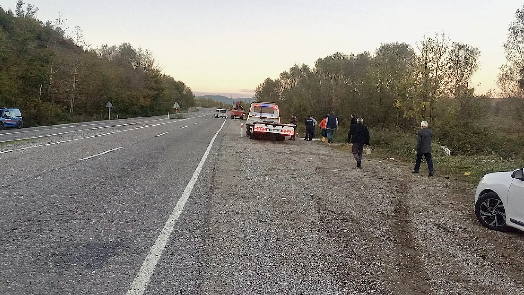 Ticari araç şarampole yuvarlandı