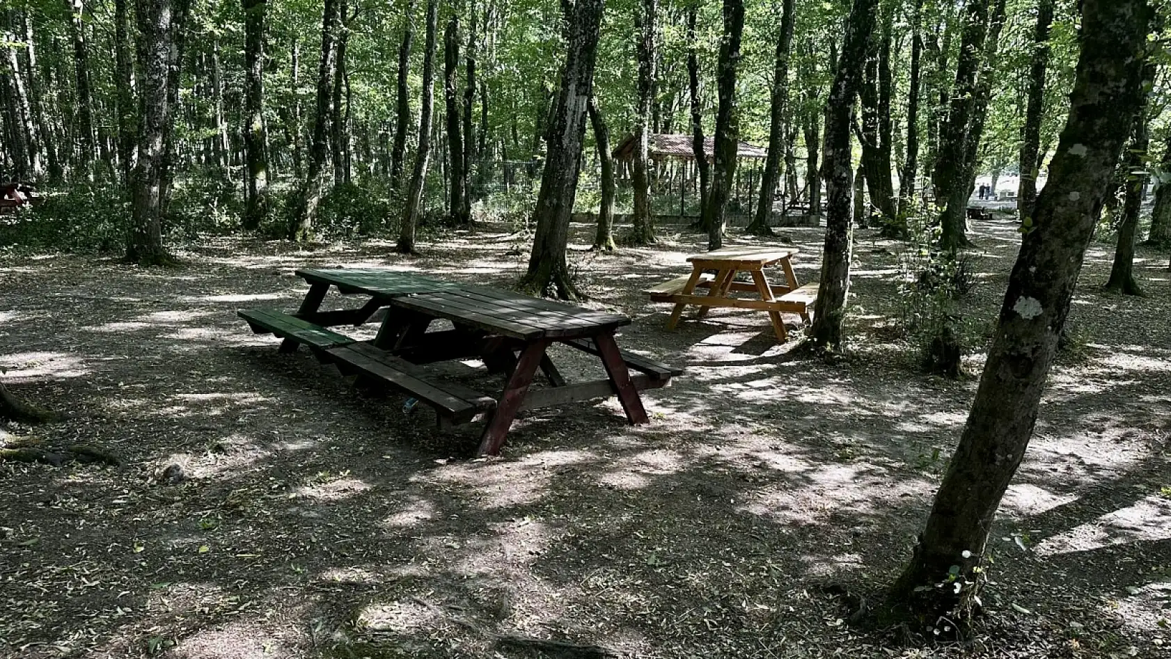 Şehirden uzak, doğaya yakın