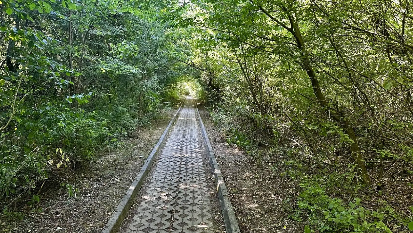 Şehirden uzak, doğaya yakın
