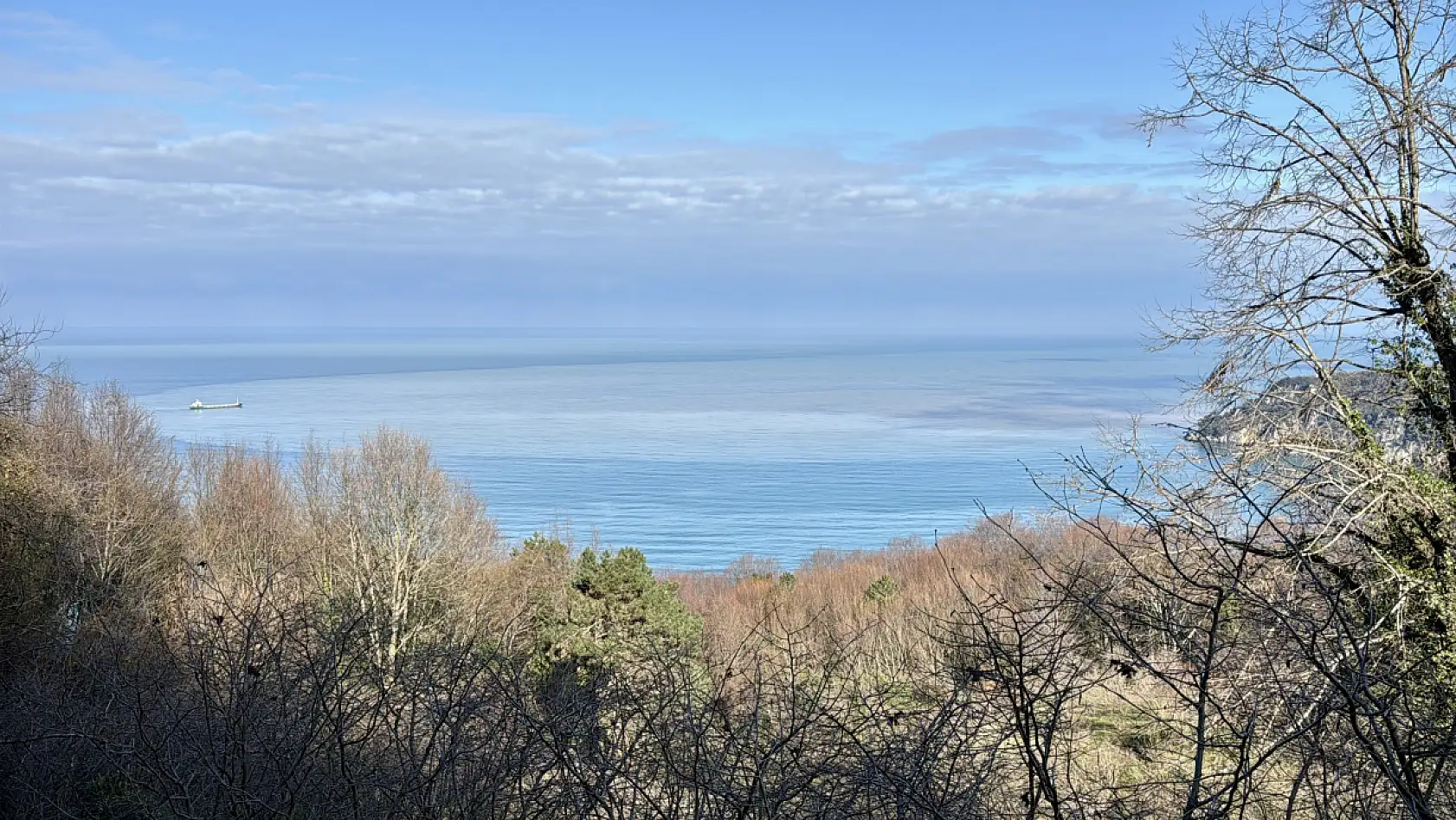 Denizin rengi değişti