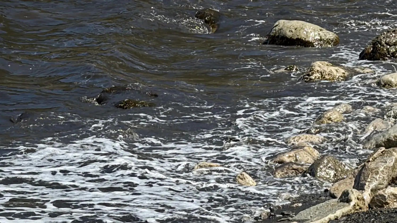 Kömür ocağına 1,3 milyon lira ceza