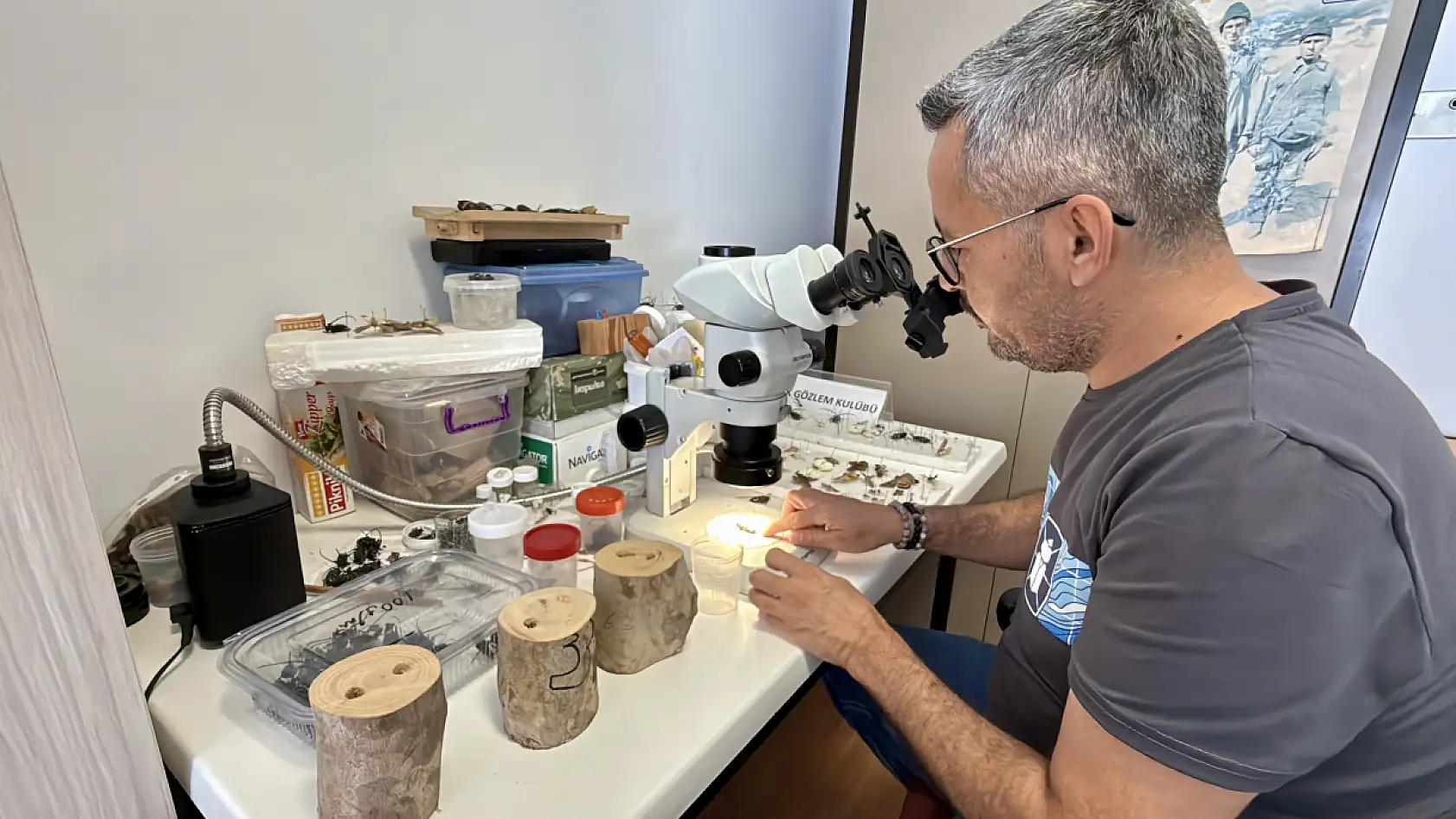 Zararlı böcekleri 10 saniyede tespit ettiler