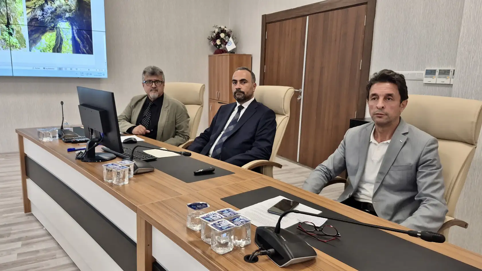 Çınar ağacının yaşı ortaya çıktı