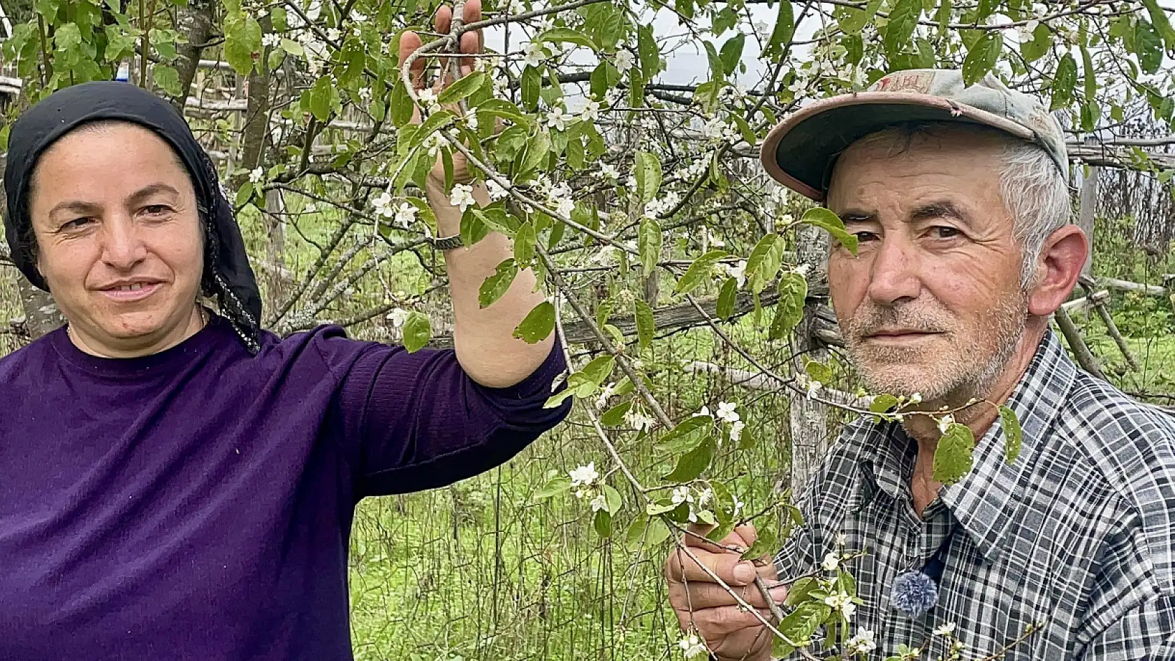 Bir yılda ikinci kez çiçek açtı