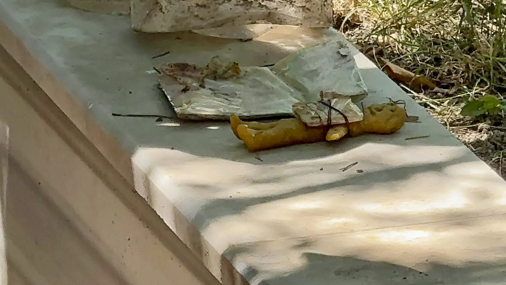 Bartın'da mezarlıkta şok olay