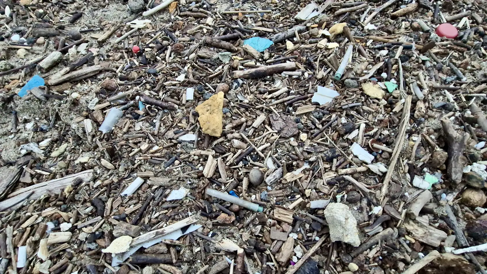 Sahilde tepki çeken kirlilik