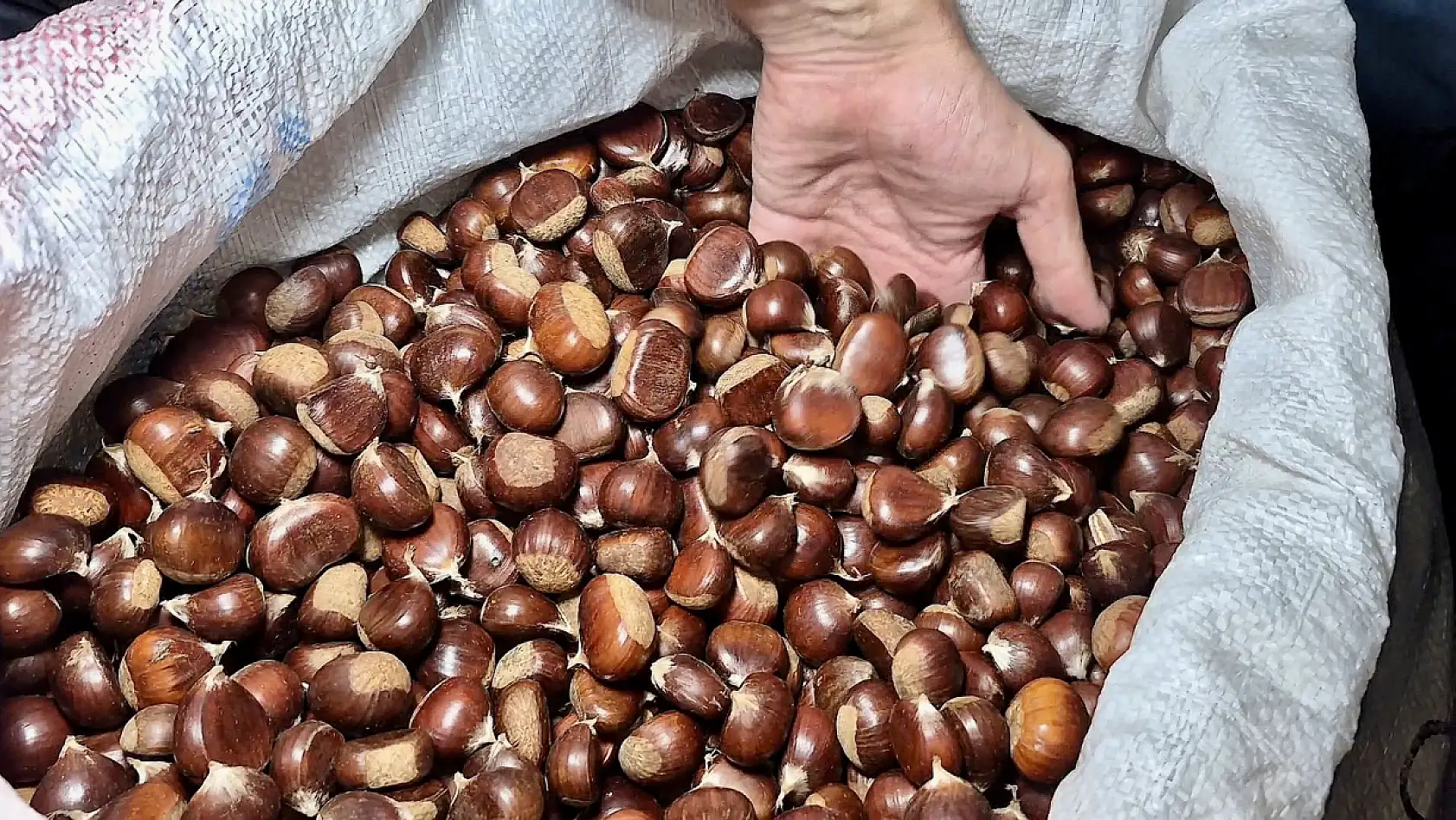 Kestane azaldı fiyatlar uçtu