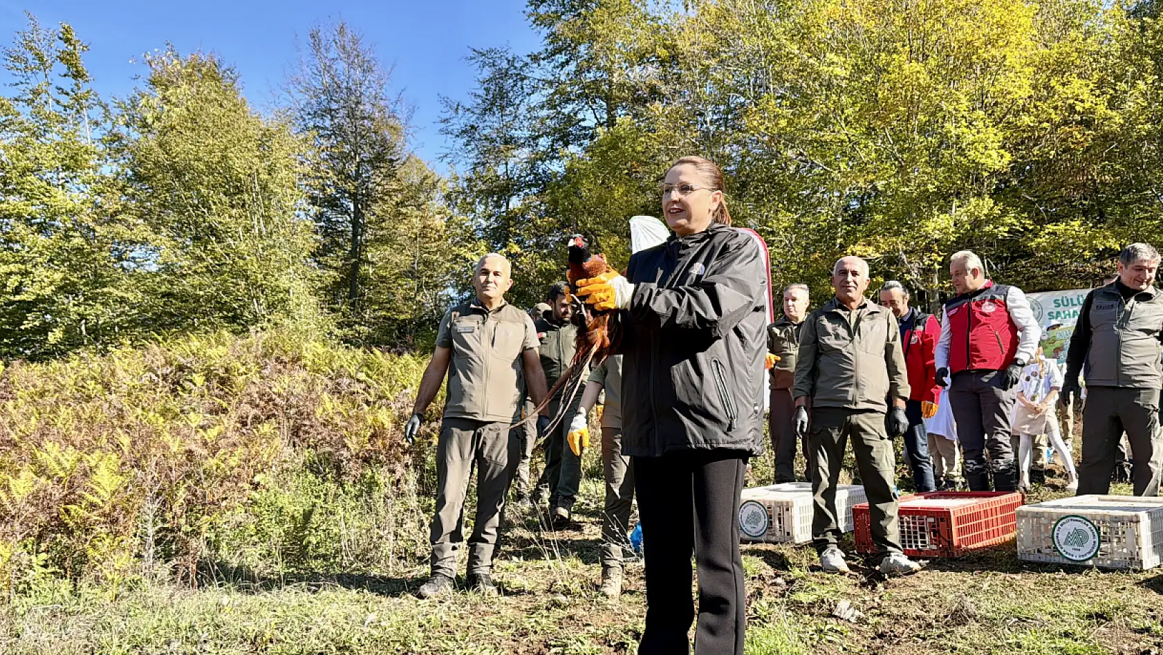 Kokarcayla mücadele timi görevde