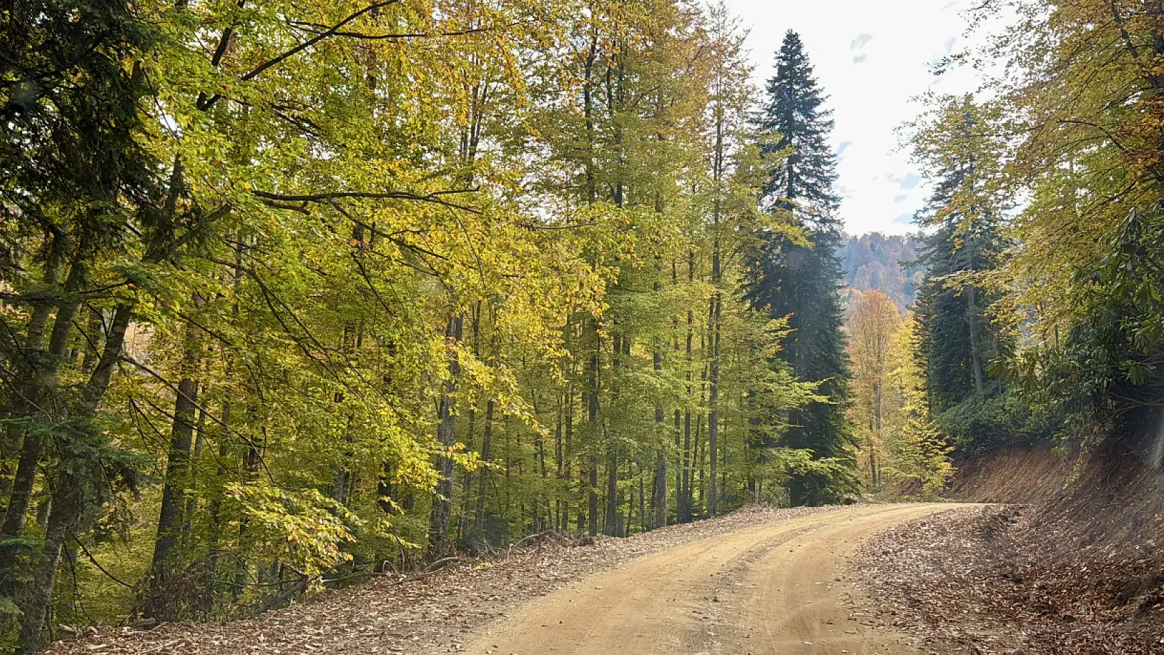 Yaylalarda sonbahar güzelliği