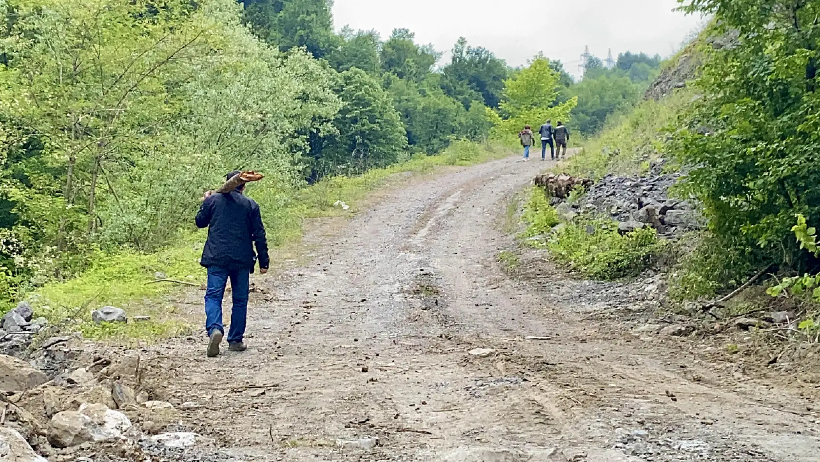 Kesildi satıldı ama yok olmadı